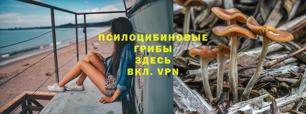 ешки Верея